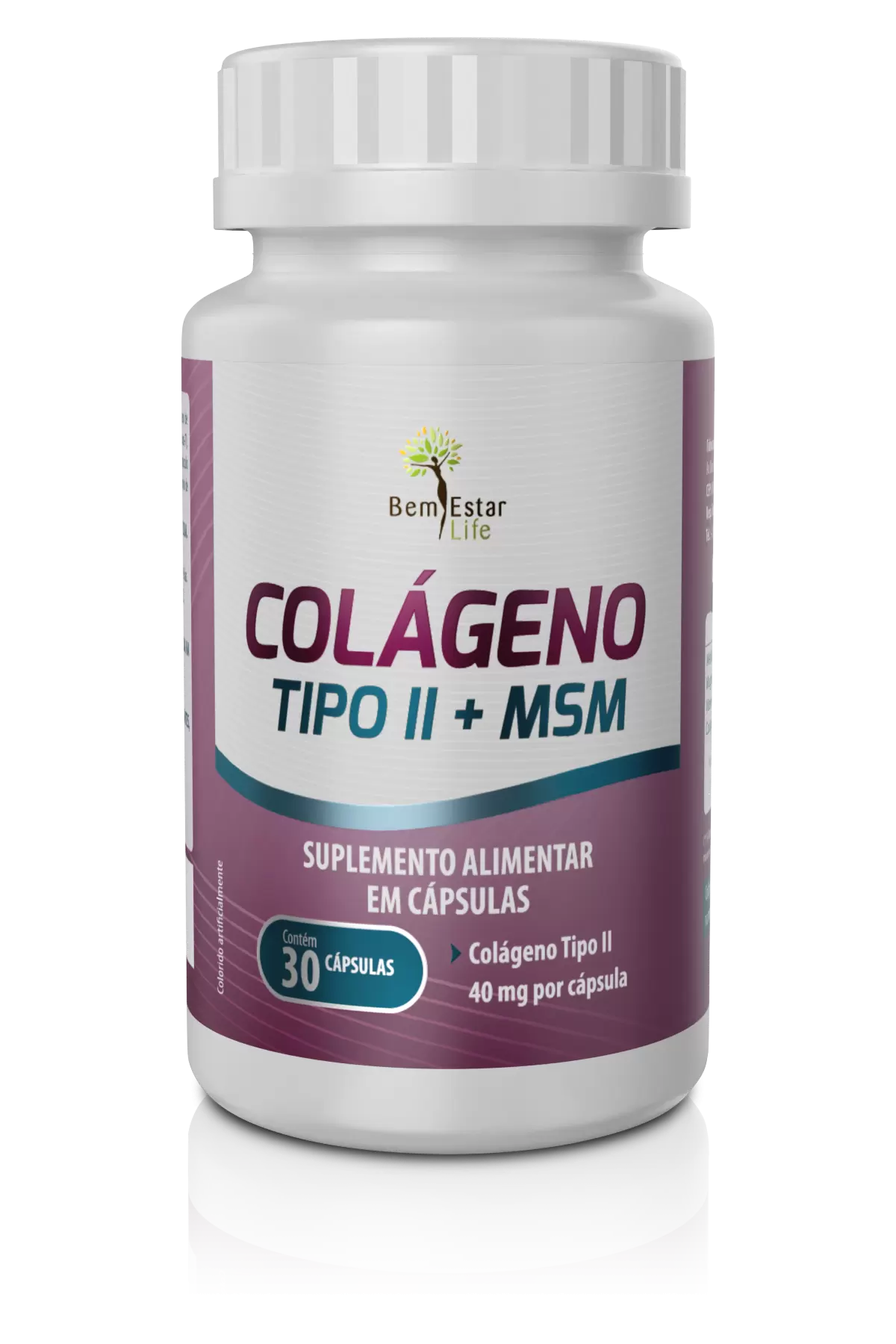 COLAGENO TIPO II MSM - 30 CAPS