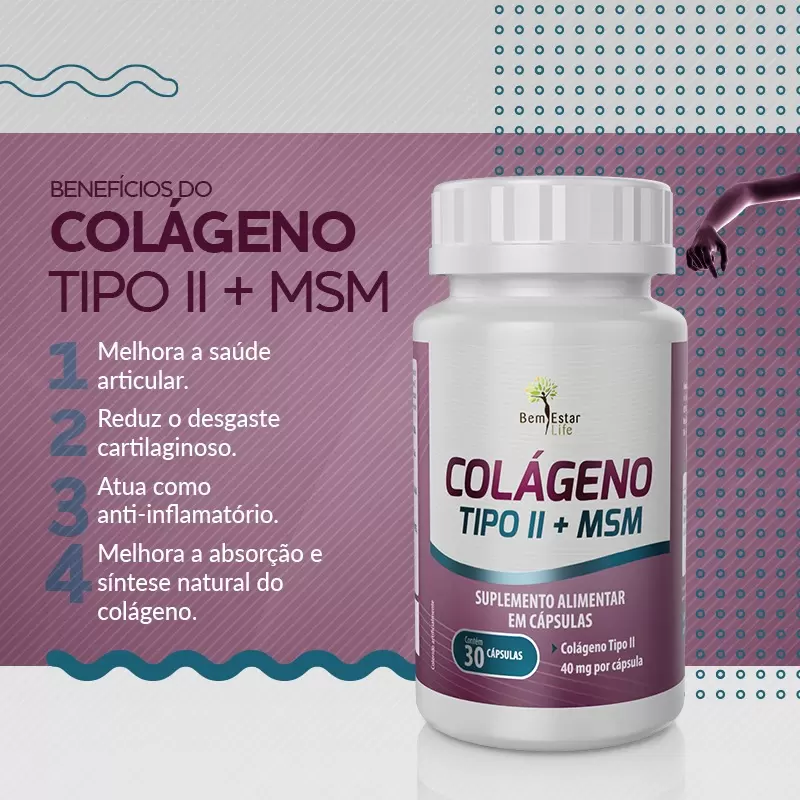 COLAGENO TIPO II MSM - 30 CAPS